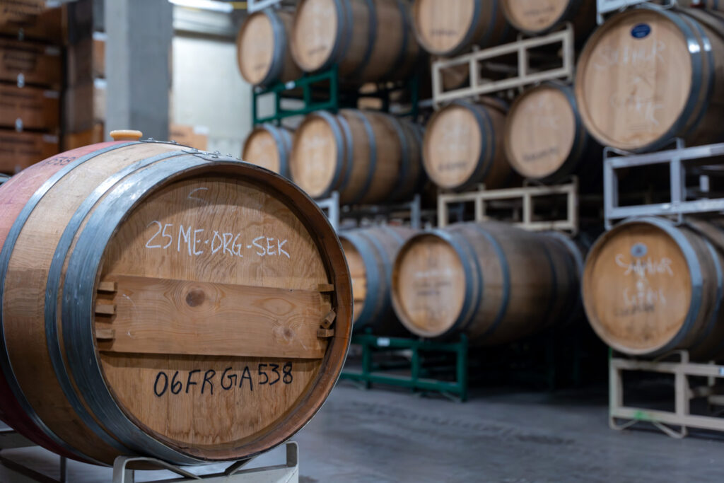 Labelled oak barrels stacked in a winery cellar