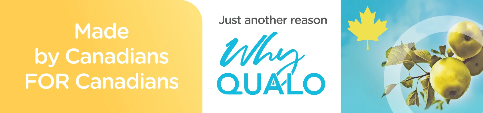 Header-Slides-yellow Why QUALO: made by Canadians, for Canadians